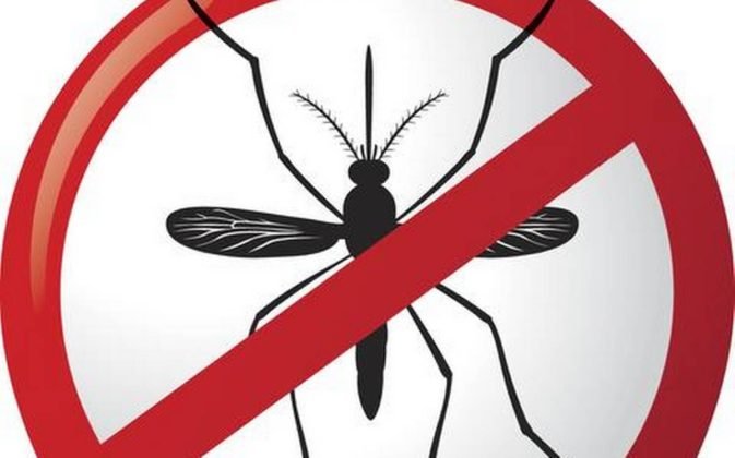Choodiyaan | कोरोना काल में डेंगू के प्रति रहें सावधान